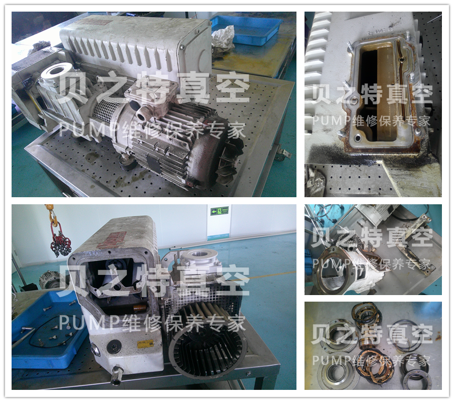 浙江萊寶真空泵sv300b維修保養(yǎng)