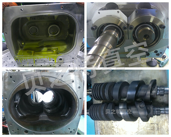 DRYVAC DV1200萊寶干式螺桿泵維修前 未命名水印.jpg